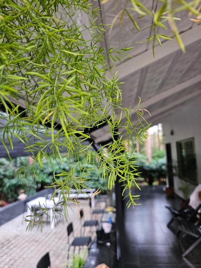 Benomadic Eco Hostel, Madikeri, Coorg Suntikoppa 외부 사진