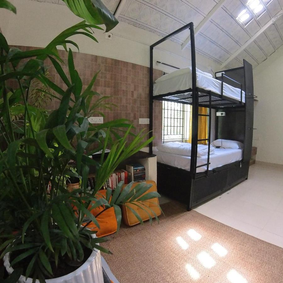 Benomadic Eco Hostel, Madikeri, Coorg Suntikoppa 외부 사진