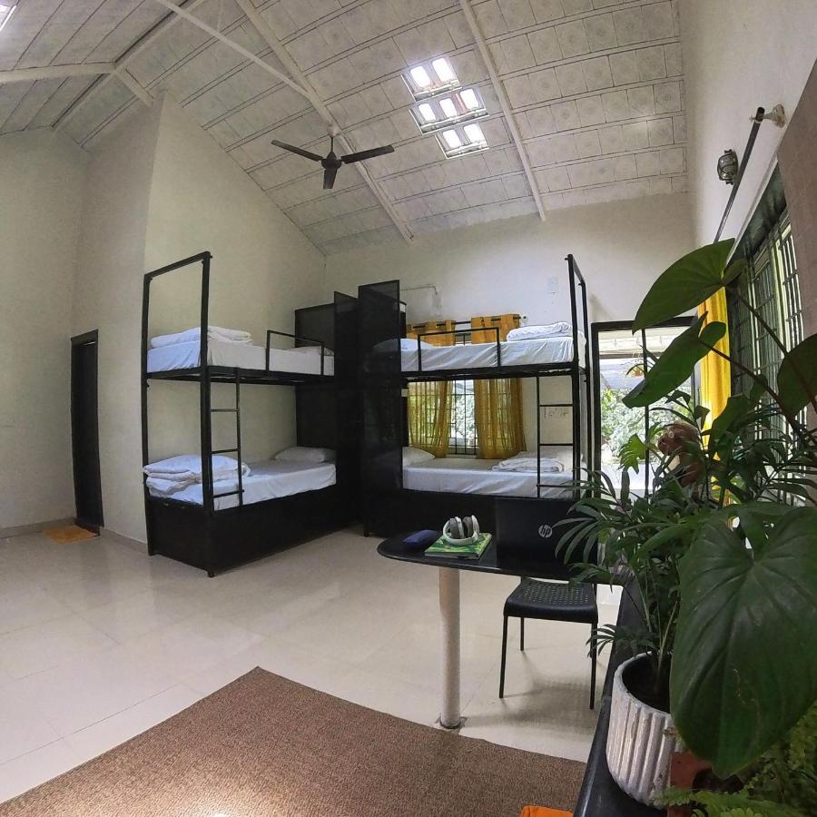 Benomadic Eco Hostel, Madikeri, Coorg Suntikoppa 외부 사진