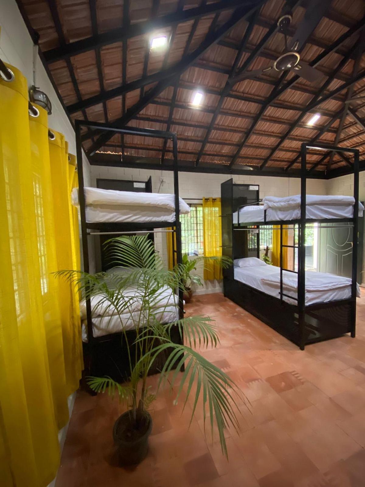 Benomadic Eco Hostel, Madikeri, Coorg Suntikoppa 외부 사진