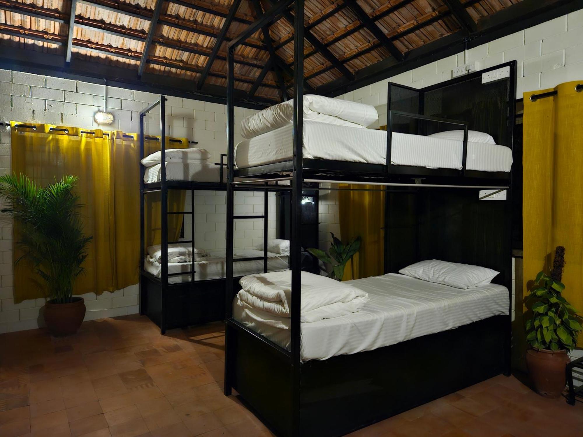 Benomadic Eco Hostel, Madikeri, Coorg Suntikoppa 외부 사진