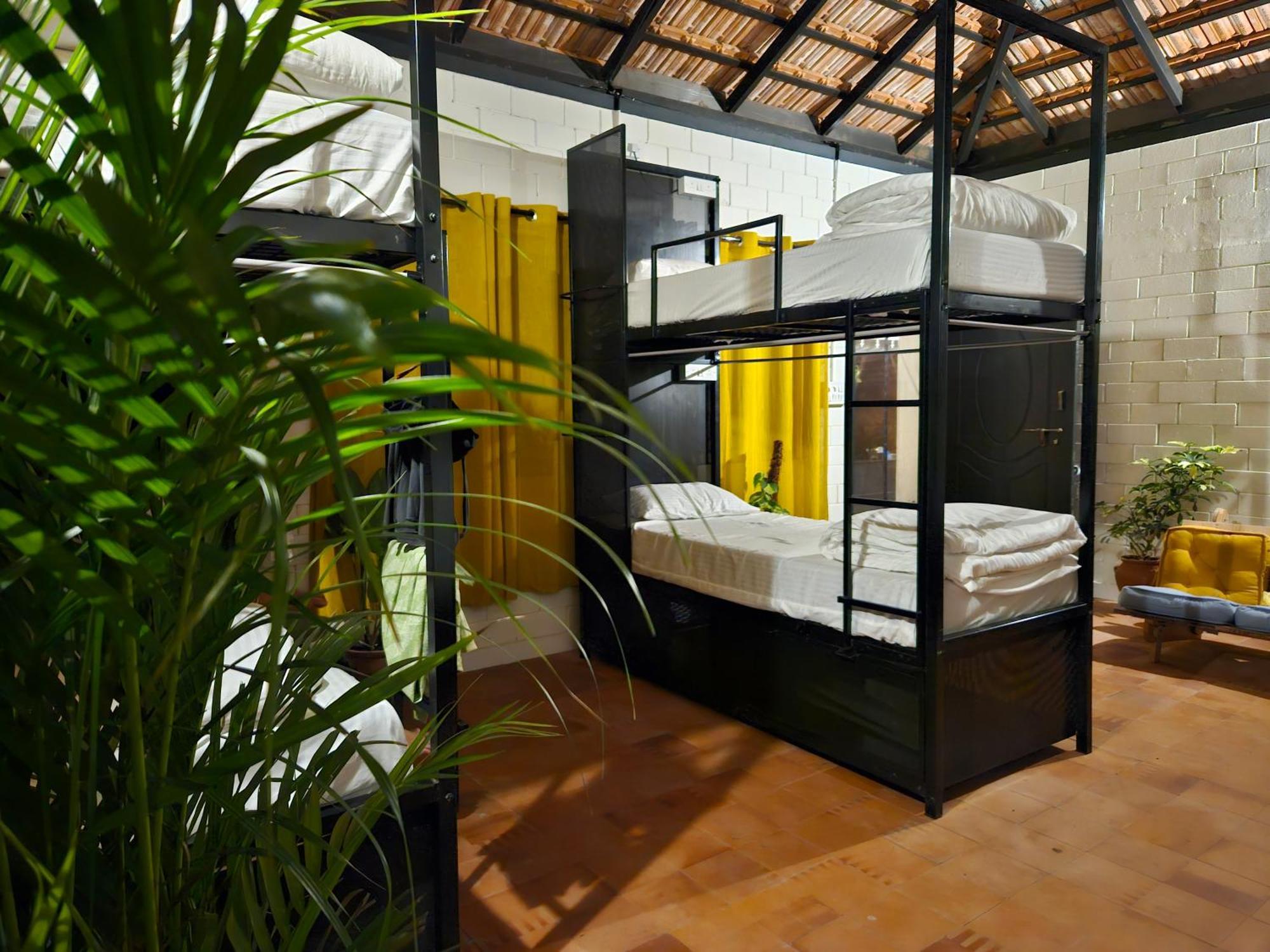 Benomadic Eco Hostel, Madikeri, Coorg Suntikoppa 외부 사진
