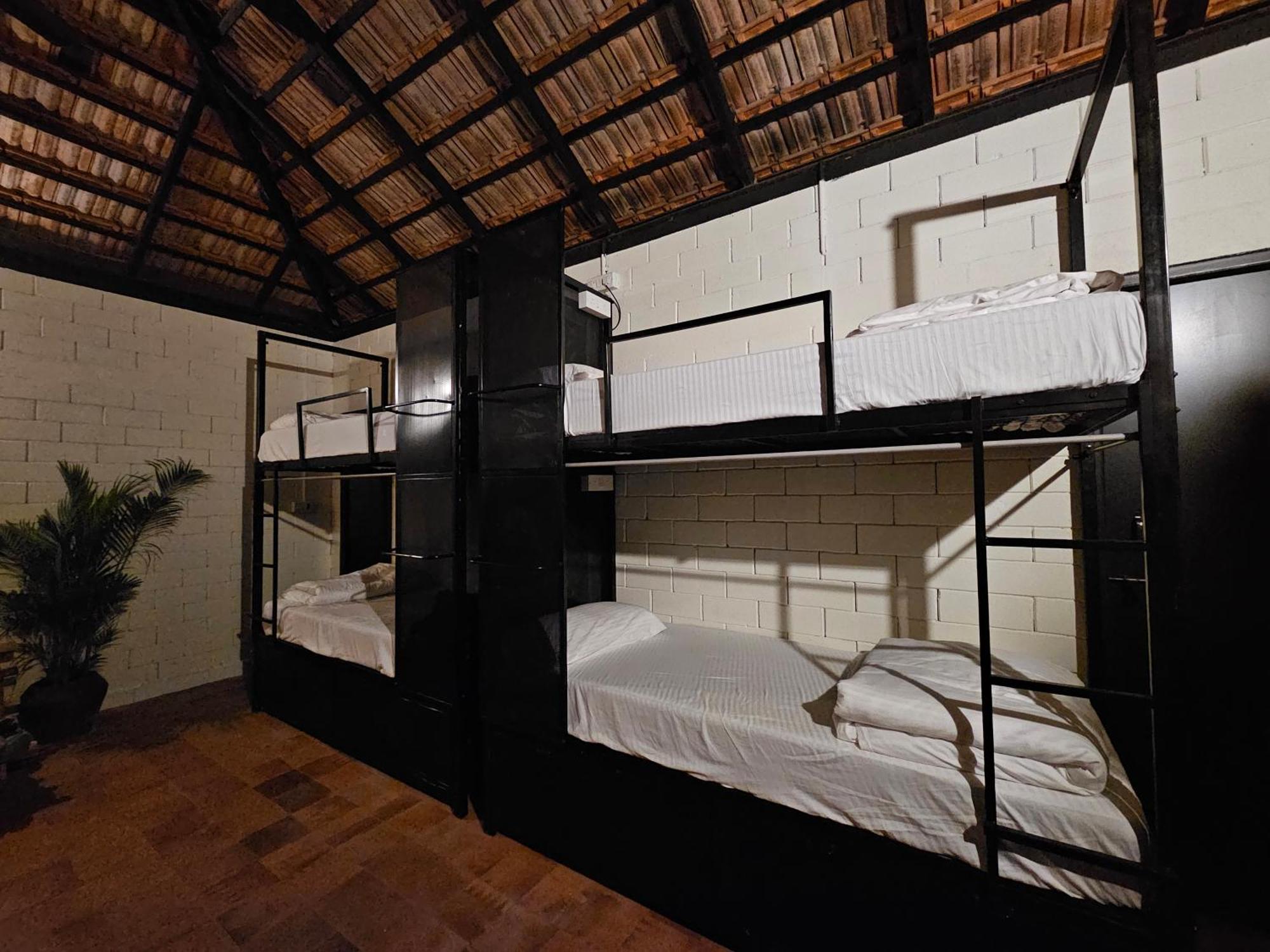 Benomadic Eco Hostel, Madikeri, Coorg Suntikoppa 외부 사진